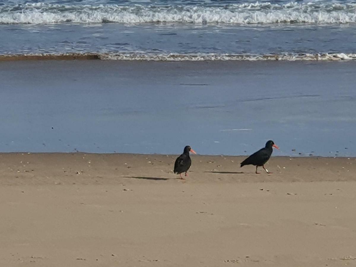 ホテル The Gull セッジフィールド エクステリア 写真