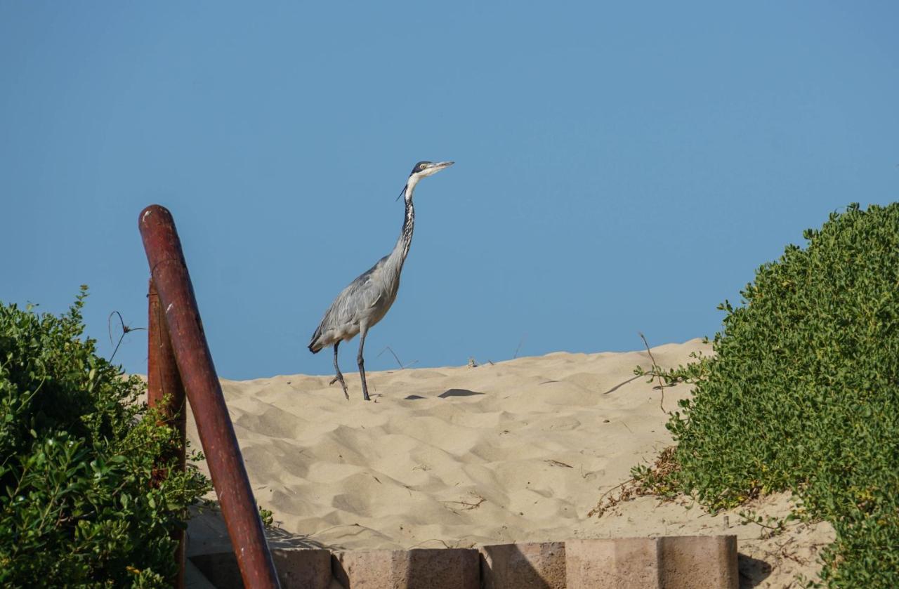 ホテル The Gull セッジフィールド エクステリア 写真